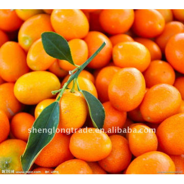 Orange douce et citronnée
